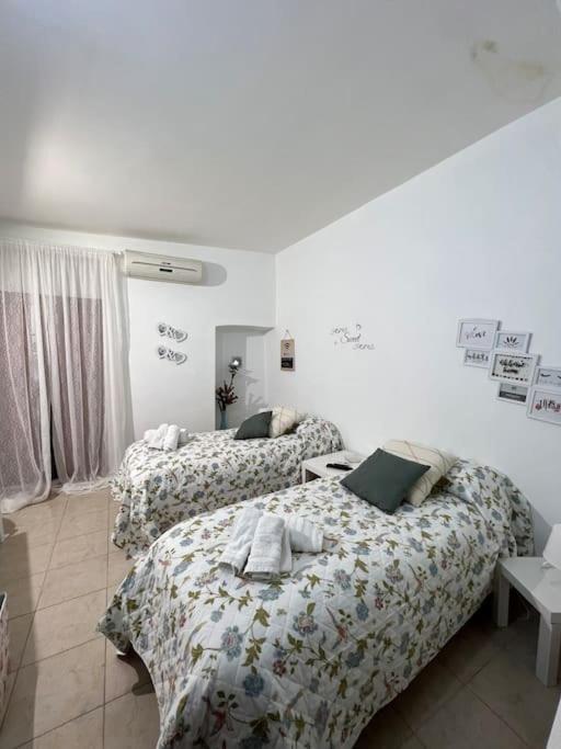 Casa Vacanze “Da Concetta” باري المظهر الخارجي الصورة