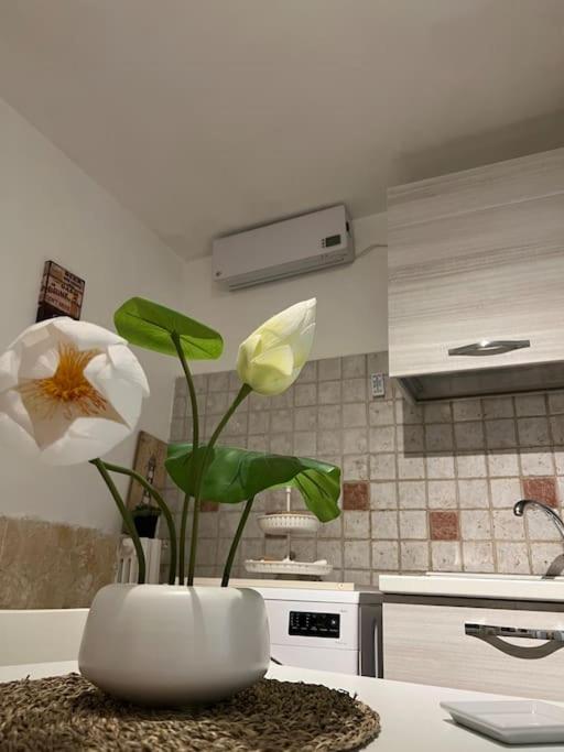 Casa Vacanze “Da Concetta” باري المظهر الخارجي الصورة